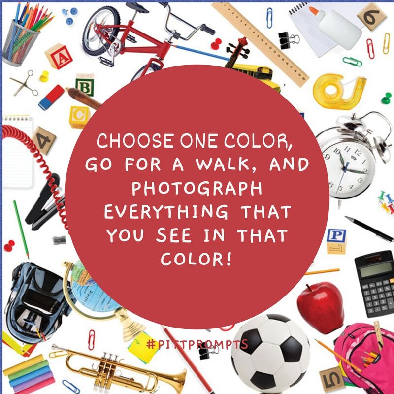 Prompt: Choose one color, go for a walk, and photograph everything you see in that color!